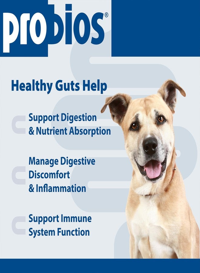Probios Intelliflora for Dogs, Daily Probiotic Powder, Nutritional Supplement for Gut Health, Digestion & Immune Support, 30 sachets (Pack of 2) - Image 3